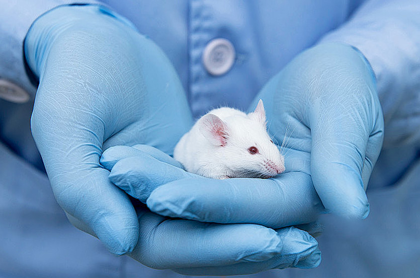 致力于为您的流式细胞分析实验带来更优质的体验