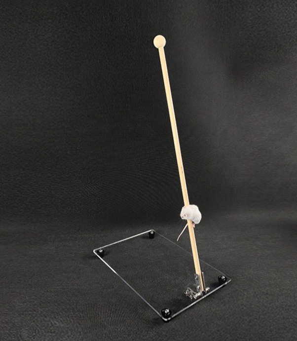 小鼠爬杆实验台MY-08