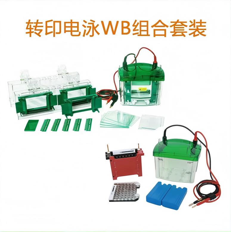 wb 电泳槽MY-12垂直电泳仪